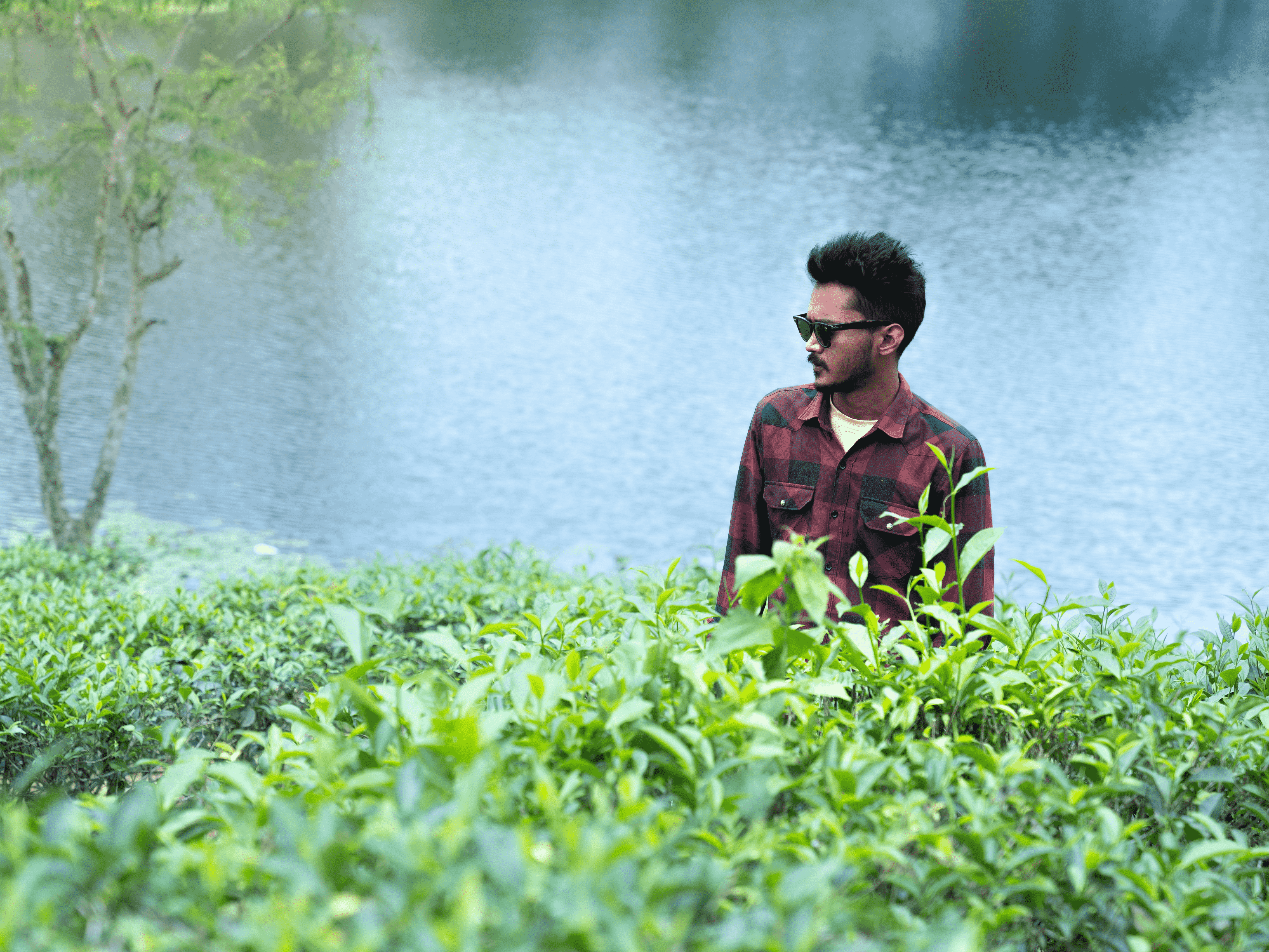 Romance Chandra Biswas